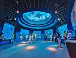 S.E.A. Aquarium + Dolphin Discovery Tickets
